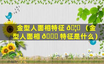 金型人面相特征 🦆 （金型人面相 🐅 特征是什么）